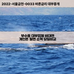 부수동대부대출 부수동비대면대출 대전대덕구대부업체개인돈 부수동월변대부업체 부수동소액월변대출