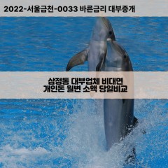 삼정동대부대출 삼정동비대면대출 대전대덕구대부업체개인돈 삼정동월변대부업체 삼정동소액월변대출