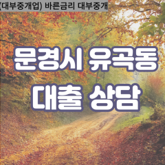 유곡동대부대출 유곡동비대면대출 문경대부업체 유곡동급전대출개인돈 유곡동소액월변대출