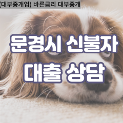 가은읍대부대출 농암면비대면대출 문경시대부업체 동로면급전대출개인돈 마성면소액월변대출