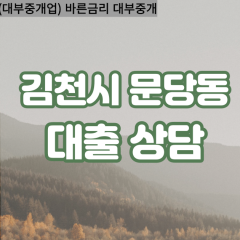 문당동대부대출 문당동비대면대출 김천시대부업체 문당동급전대출개인돈 문당동소액월변대출