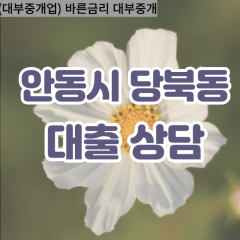 당북동대부대출 당북동비대면대출 안동시대부업체 당북동급전대출개인돈 당북동소액월변대출