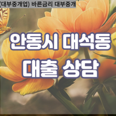 대석동대부대출 대석동비대면대출 안동시대부업체 대석동급전대출개인돈 대석동소액월변대출