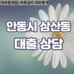 삼산동대부대출 삼산동비대면대출 안동시대부업체 삼산동급전대출개인돈 삼산동소액월변대출