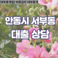 서부동대부대출 서부동비대면대출 안동시대부업체 서부동급전대출개인돈 서부동소액월변대출