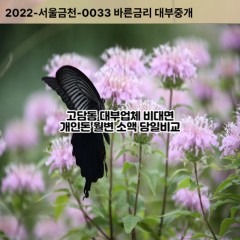 고담동대부대출 고담동비대면대출 이천시대부업체 고담동급전대출개인돈 고담동소액월변대출