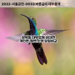 성북동대부대출 성북동비대면대출 나주시대부업체 성북동급전대출개인돈 성북동소액월변대출