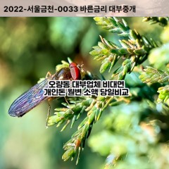 오량동대부대출 오량동비대면대출 나주시대부업체 오량동급전대출개인돈 오량동소액월변대출