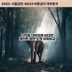 단현동대부대출 단현동비대면대출 여주시대부업체 단현동급전대출개인돈 단현동소액월변대출