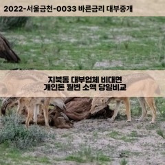 지북동대부대출 지북동비대면대출 청주시상당구대부업체 지북동급전대출개인돈 지북동소액월변대출