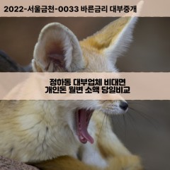 정하동대부대출 정하동비대면대출 청주시청원구대부업체 정하동급전대출개인돈 정하동소액월변대출