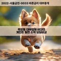 죽항동대부대출 죽항동비대면대출 전북남원시대부업체 죽항동급전대출개인돈 죽항동소액월변대출