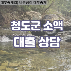 청도대부대출 청도읍비대면대출 청도군대부업체 풍각면급전대출개인돈 화양읍소액월변대출