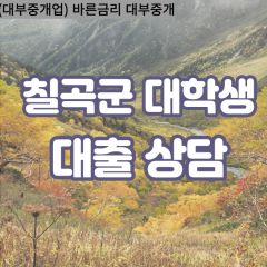 석적읍대부대출 약목면비대면대출 칠곡군대부업체 왜관읍급전대출개인돈 지천면소액월변대출