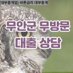 삼향읍대부대출 운남면비대면대출 무안군대부업체 일로읍급전대출개인돈 무안소액월변대출