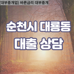 대룡동대부대출 대룡동비대면대출 순천시대부업체 대룡동급전대출개인돈 대룡동소액월변대출