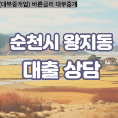 왕지동대부대출 왕지동비대면대출 순천시대부업체 왕지동급전대출개인돈 왕지동소액월변대출