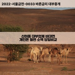 신하동대부대출 신하동비대면대출 대전동구대부업체개인돈 신하동월변대부업체 신하동소액월변대출