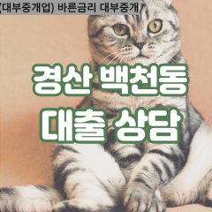 백천동대부대출 백천동비대면대출 경산시대부업체 백천동급전대출개인돈 백천동소액월변대출