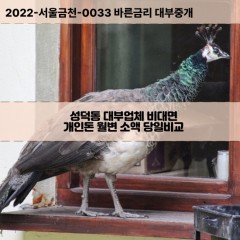 성덕동대부대출 성덕동비대면대출 전주시덕진구대부업체 성덕동급전대출개인돈 성덕동소액월변대출