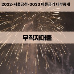 일수대출 비대면일수 개인돈일수 당일일수 소액일수