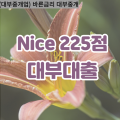 nice225점대부대출 nice225점비대면대출 nice225점소액대부업체 nice225점급전대출개인돈 nice225점월변대출