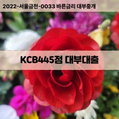 KCB445점대부대출 KCB445점비대면대출 KCB445점소액대부업체 KCB445점급전대출개인돈 KCB445점월변대출