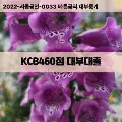 KCB460점대부대출 KCB460점비대면대출 KCB460점소액대부업체 KCB460점급전대출개인돈 KCB460점월변대출