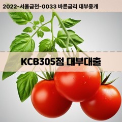 KCB305점대부대출 KCB305점비대면대출 KCB305점소액대부업체 KCB305점급전대출개인돈 KCB305점월변대출