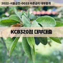 KCB320점대부대출 KCB320점비대면대출 KCB320점소액대부업체 KCB320점급전대출개인돈 KCB320점월변대출