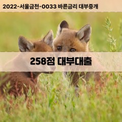 KCB258점대부대출 NICE258점비대면대출 KCB258점소액대부업체 NICE258점급전대출개인돈 KCB258점월변대출