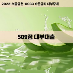 KCB509점대부대출 NICE509점비대면대출 KCB509점소액대부업체 NICE509점급전대출개인돈 KCB509점월변대출