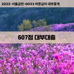 KCB607점대부대출 NICE607점비대면대출 KCB607점소액대부업체 NICE607점급전대출개인돈 KCB607점월변대출