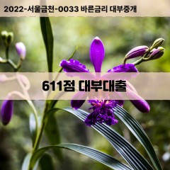 KCB611점대부대출 NICE611점비대면대출 KCB611점소액대부업체 NICE611점급전대출개인돈 KCB611점월변대출