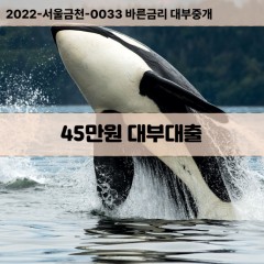 45만원대부대출 45만원비대면대출 45만원소액대부업체 45만원급전대출개인돈 45만원월변대출