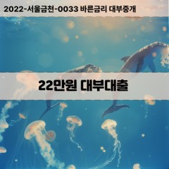 22만원대부대출 22만원비대면대출 22만원소액대부업체 22만원급전대출개인돈 22만원월변대출