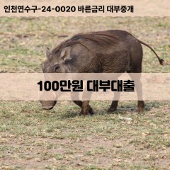 100만원대부대출 100만원비대면대출 100만원소액대부업체 100만원급전대출개인돈 100만원월변대출