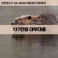 137만원대부대출 137만원비대면대출 137만원소액대부업체 137만원급전대출개인돈 137만원월변대출