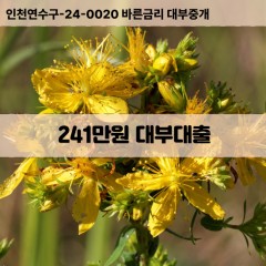 241만원대부대출 241만원비대면대출 241만원소액대부업체 241만원급전대출개인돈 241만원월변대출