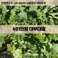 491만원대부대출 491만원비대면대출 491만원소액대부업체 491만원급전대출개인돈 491만원월변대출