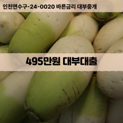 495만원대부대출 495만원비대면대출 495만원소액대부업체 495만원급전대출개인돈 495만원월변대출