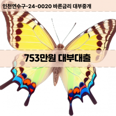 753만원대부대출 753만원비대면대출 753만원소액대부업체 753만원급전대출개인돈 753만원월변대출