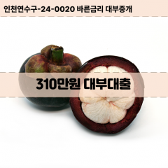 310만원빠른돈 310만원급한대출 310만원당일대출 310만원비대면무방문 310만원비교대출상담