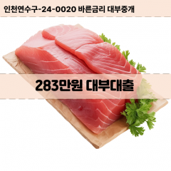 283만원빠른돈 283만원급한대출 283만원당일대출 283만원비대면무방문 283만원비교대출상담